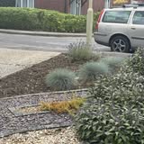 Landscaping project - before