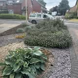 Garden maintenance project - before